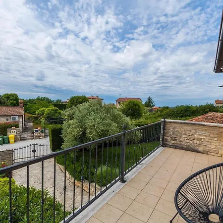 Campanula וילה *