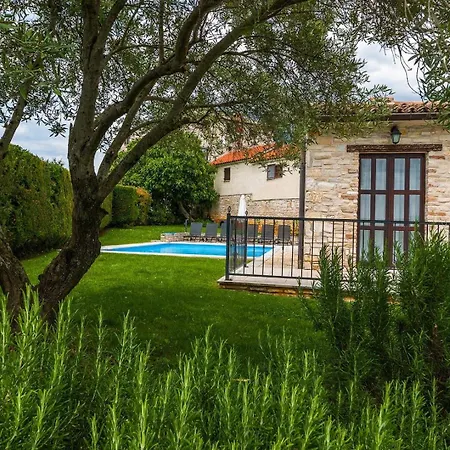 Campanula * Barat (Porec)