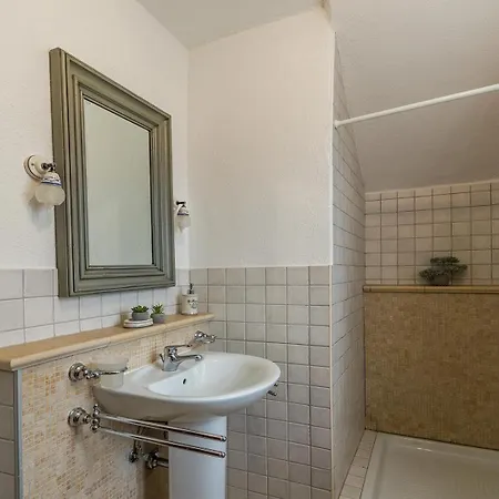 Campanula Barat (Porec)