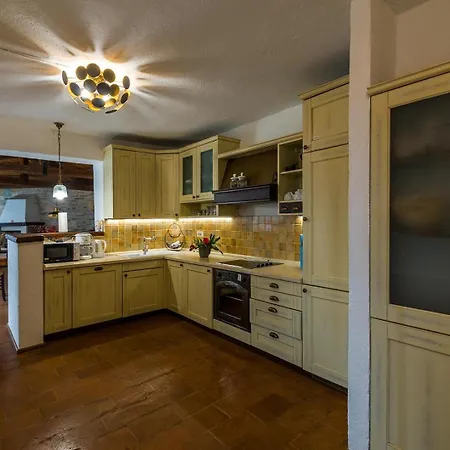 Campanula וילה *