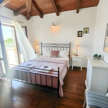 Campanula Villa *