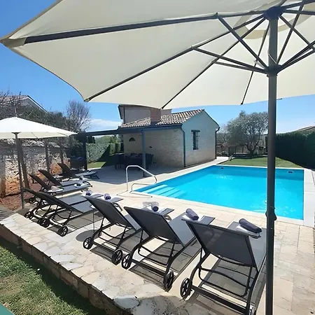 Campanula Villa