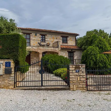 Campanula Villa