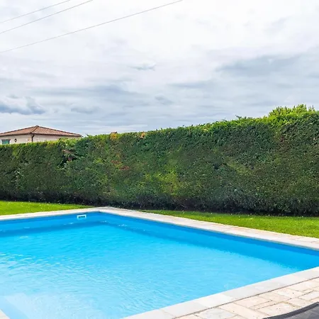 Campanula Villa *