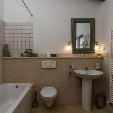 Campanula * Barat (Porec)