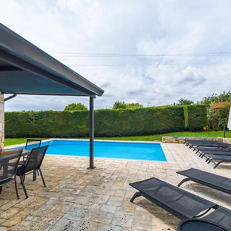 Campanula Villa