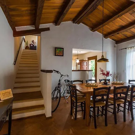 Campanula Villa